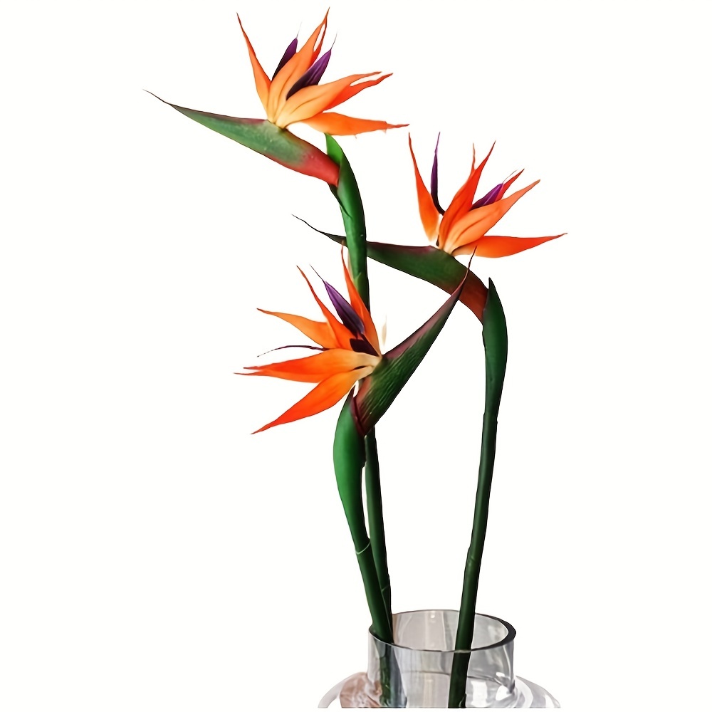Bird Paradise Strelitzia - Flor Artificial de tallo largo de