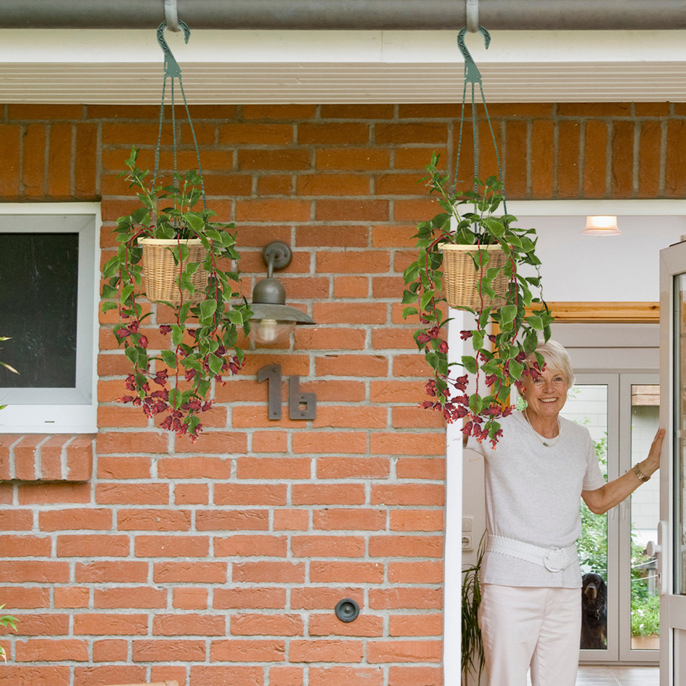 Spider Plant Hanging - Ganchos colgantes versátiles para macetas, colgadores