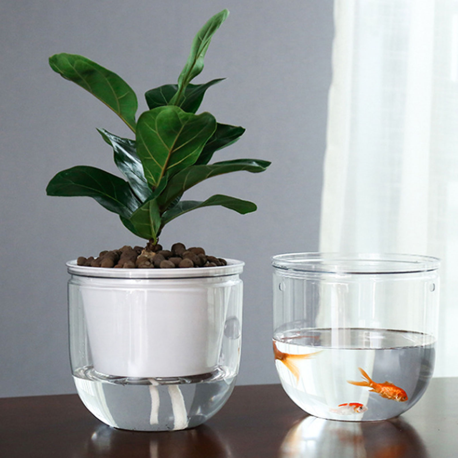 Macetas automáticas con autorr - Spider Plant Hanging reseña y precio