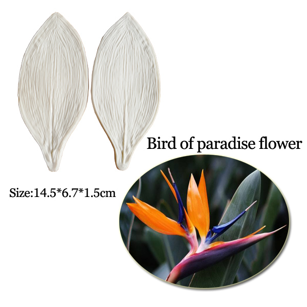 Molde de silicona grande para  - Bird Paradise Strelitzia reseña y precio