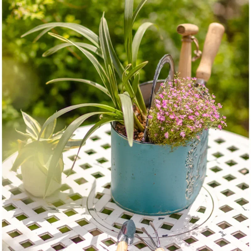 Macetero de pared colgante azu - Spider Plant Hanging reseña y precio
