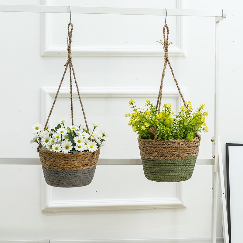 Cesta colgante de paja, maceta - Spider Plant Hanging reseña y precio